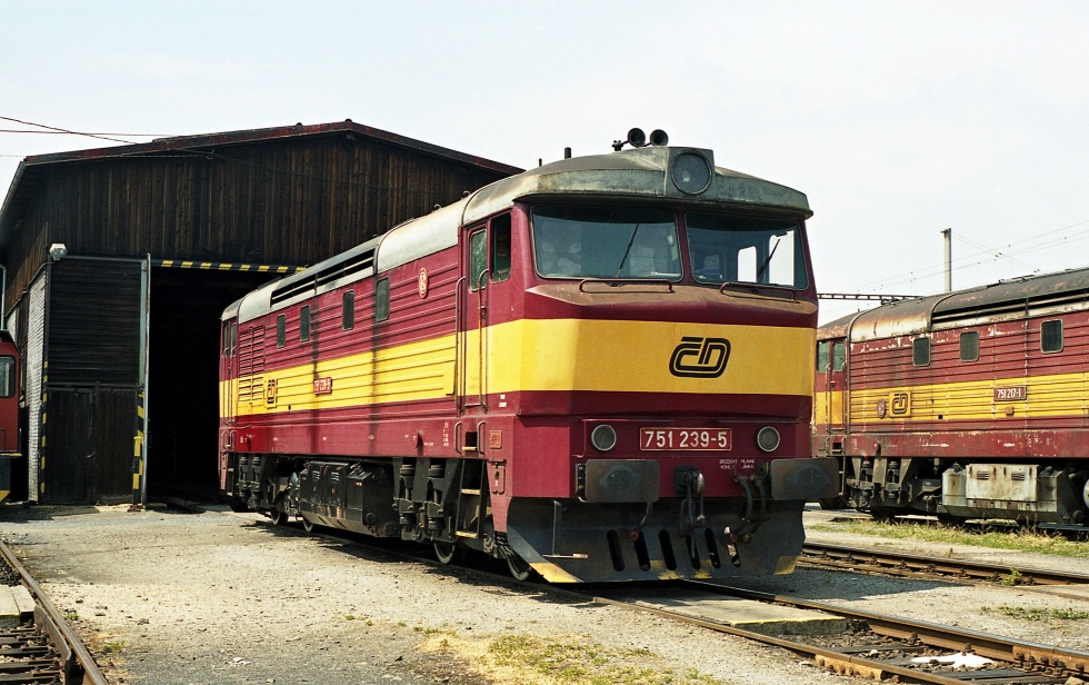 751 239-5