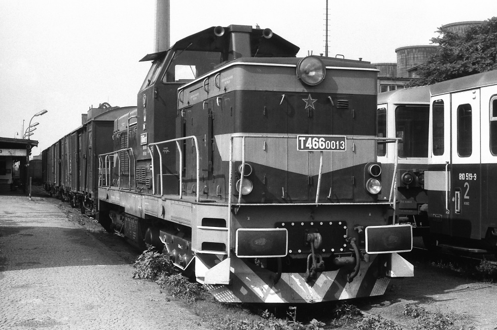 T466.0013