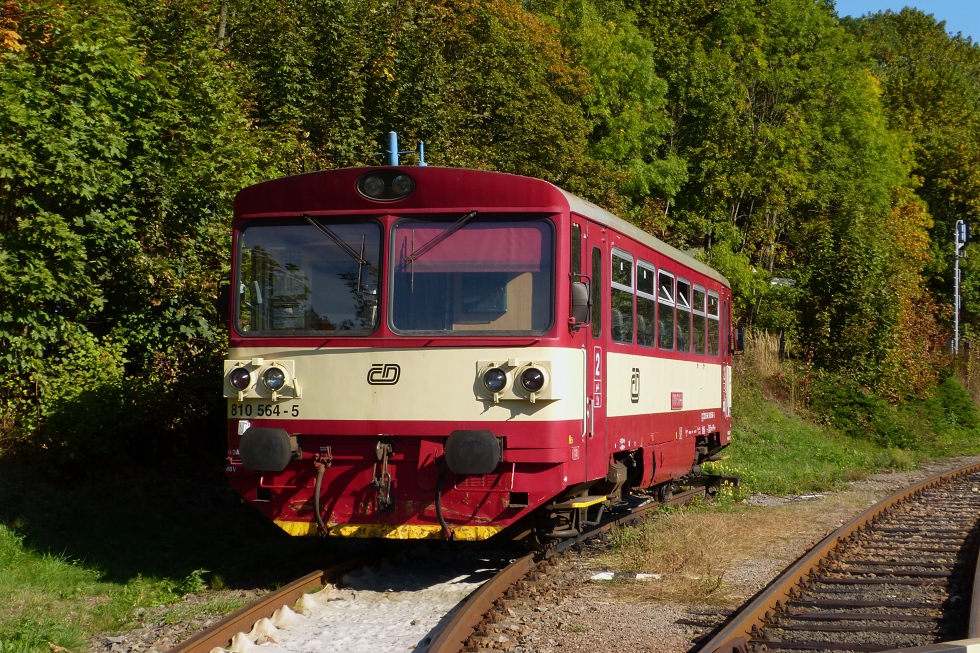 810 564-5