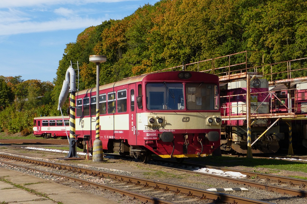 810 665-0