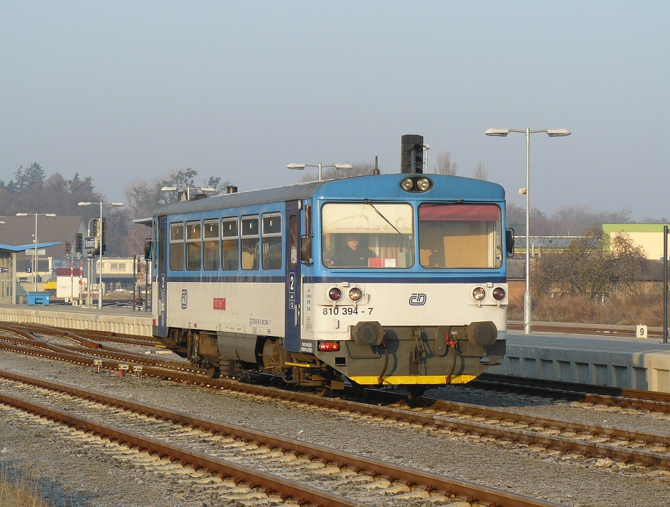 810 394-7