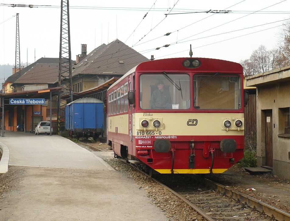 810 665-0