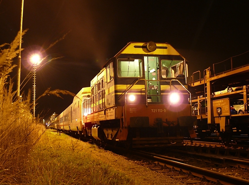 721 113-9
