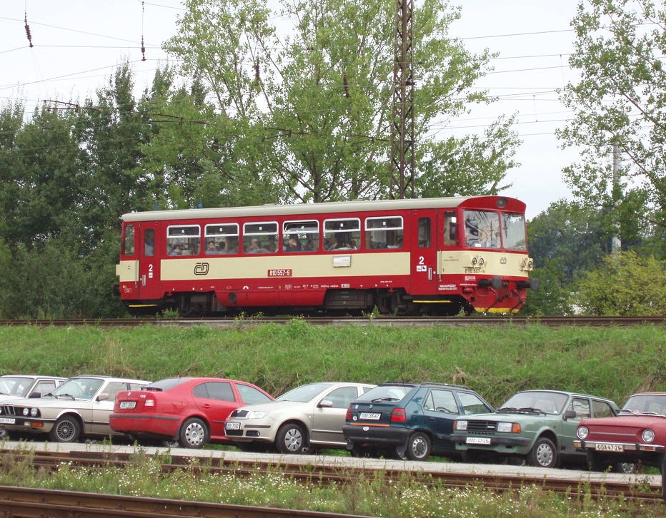 810 557-9