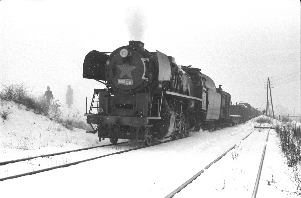 556.0258