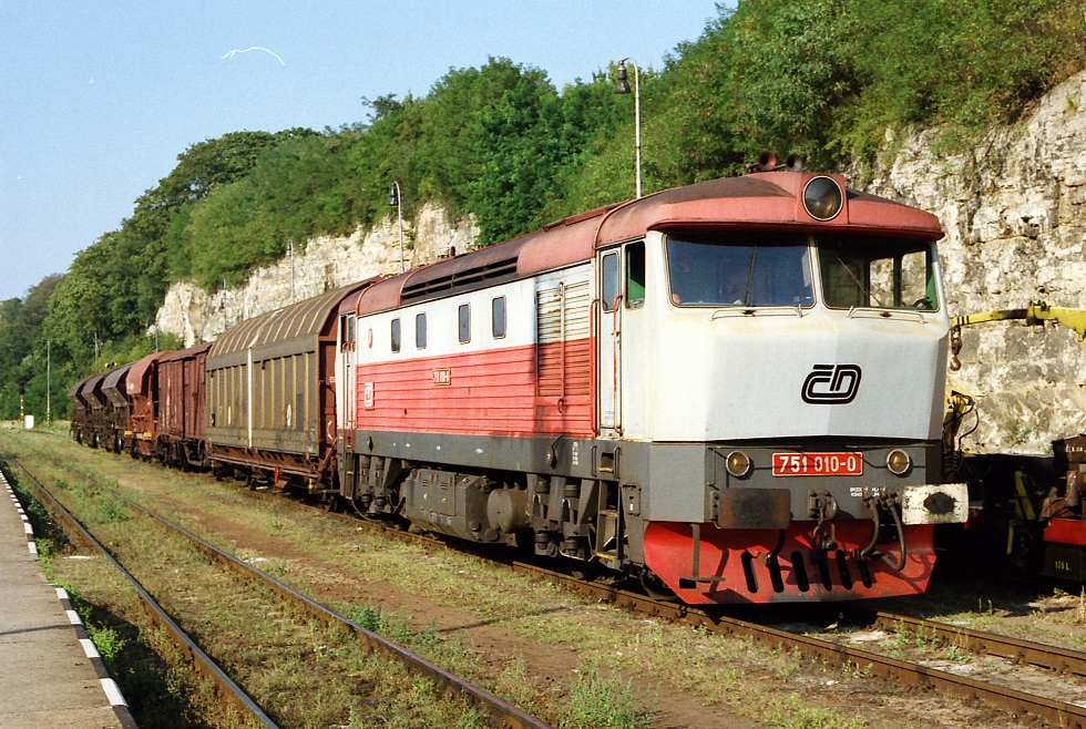 751 010-0