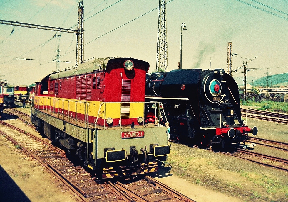771 003-1