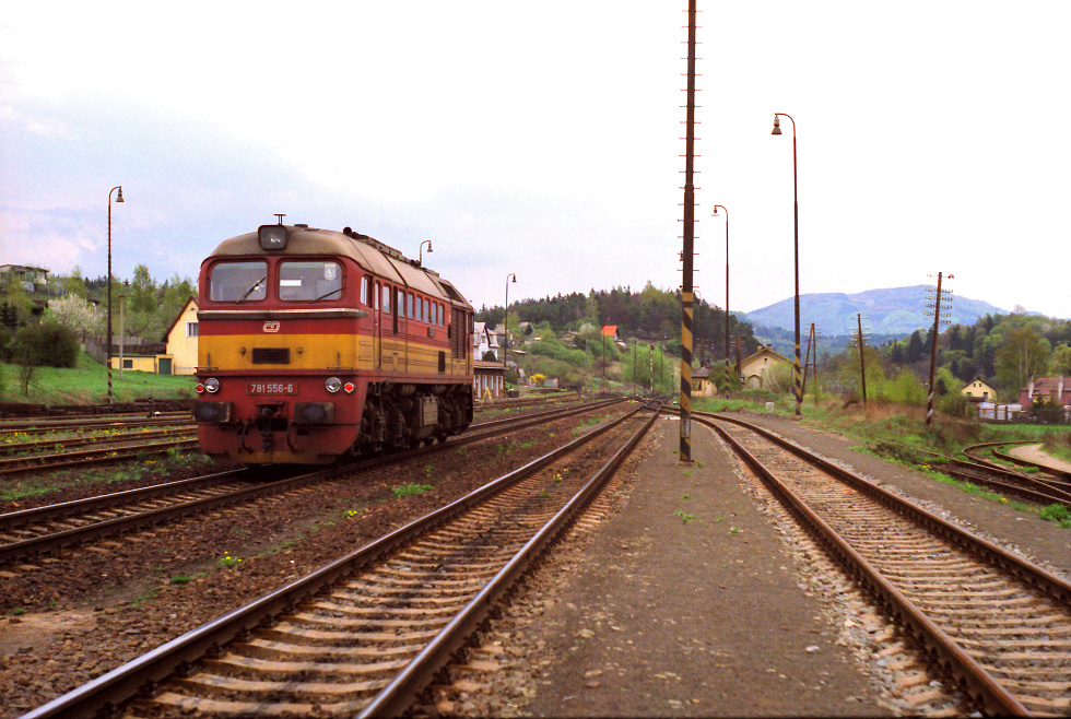 781 556-6