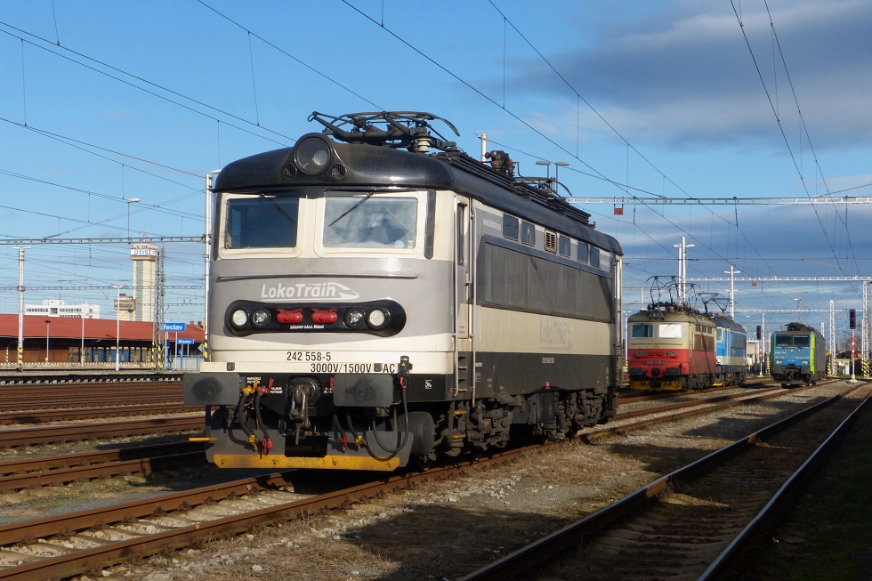 242 558-5
