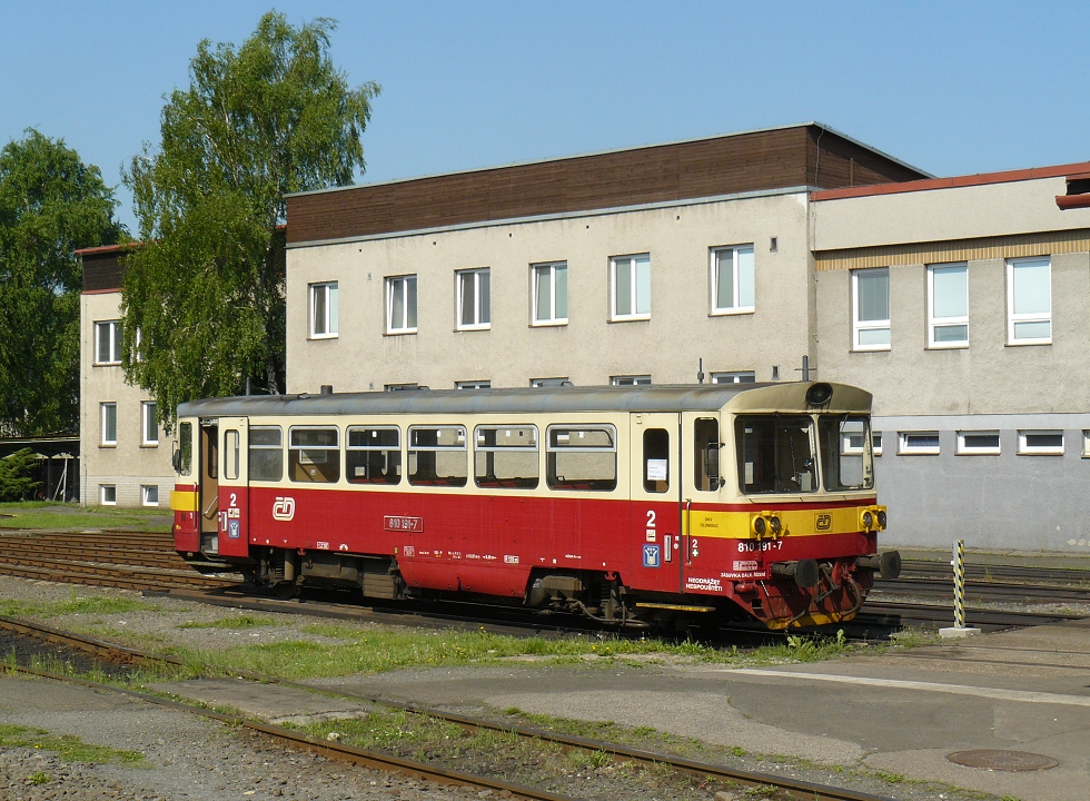 810 191-7