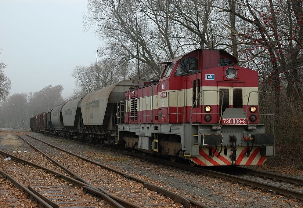 730 009-8