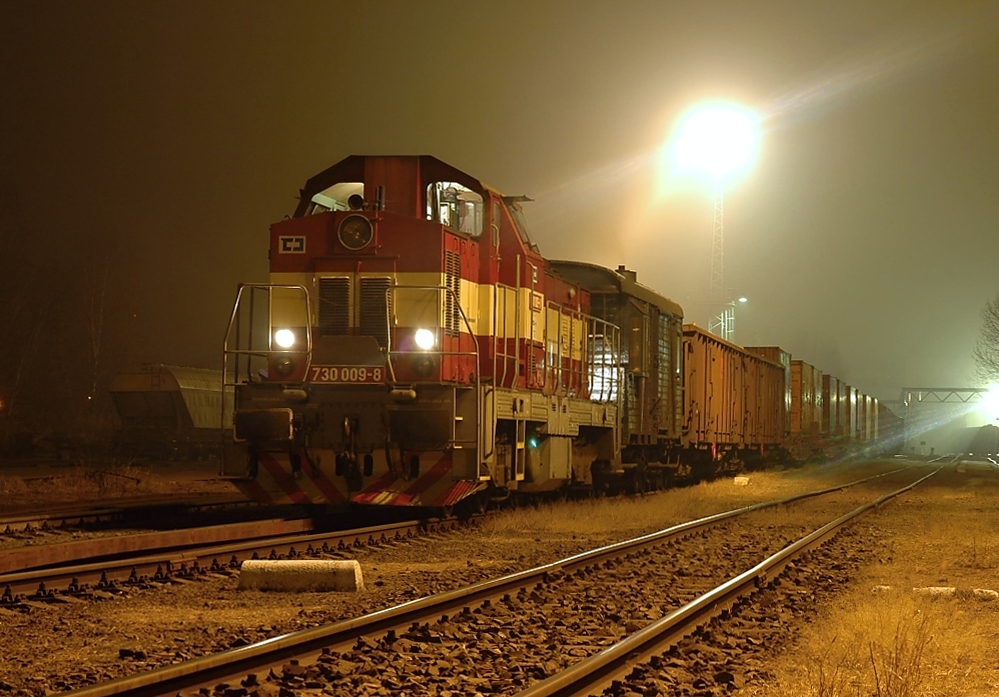730 009-8