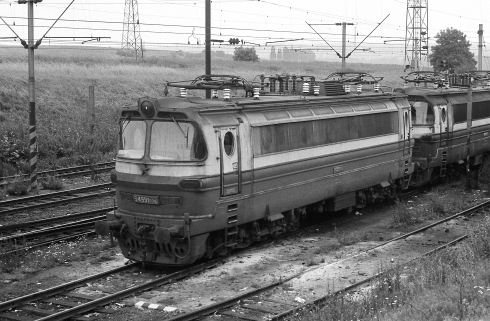 S499.1006