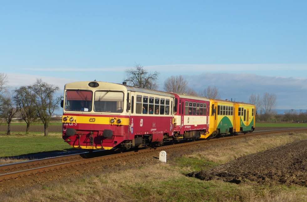 810 191-7
