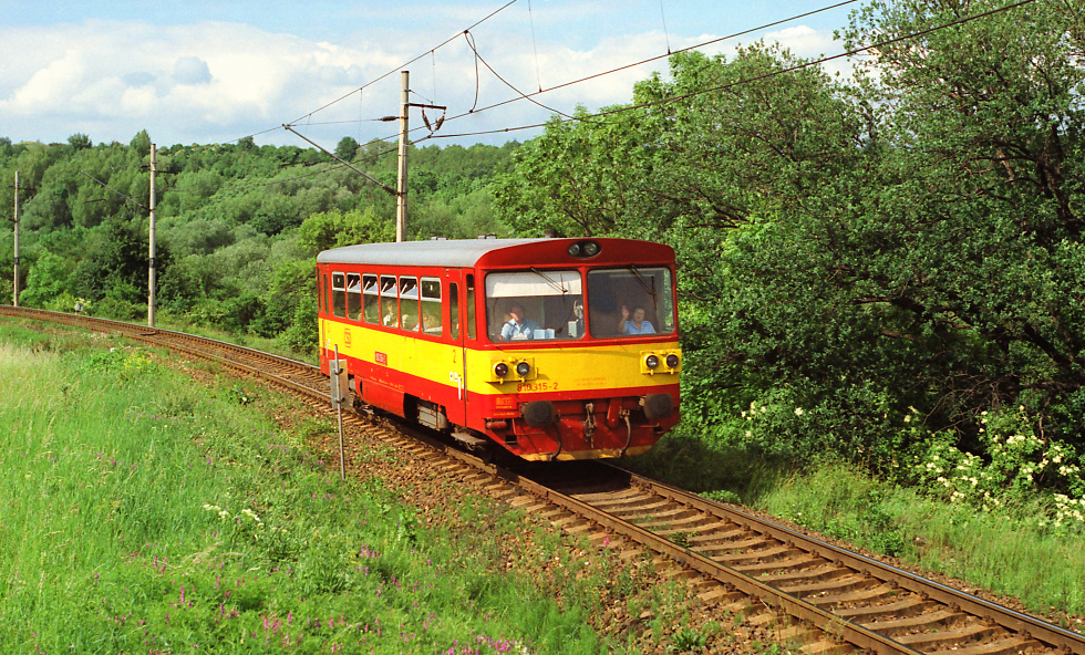 810 315-2