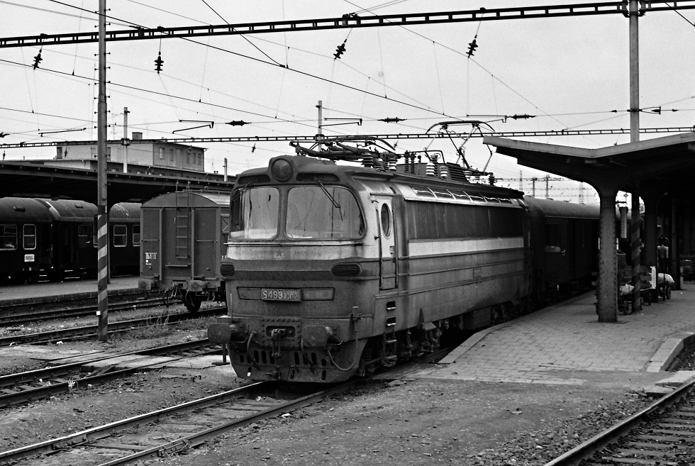 S499.1002