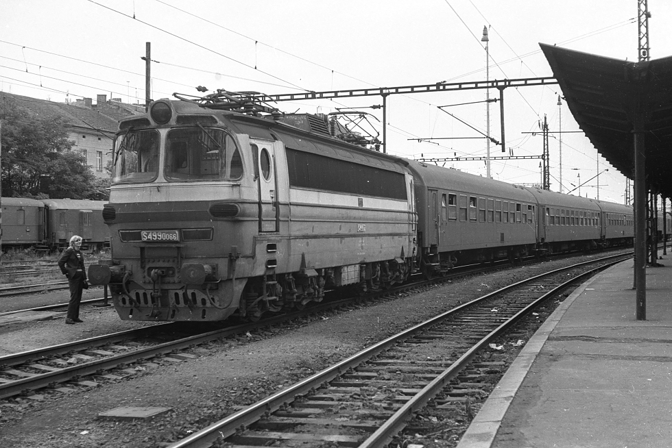 S499.0066