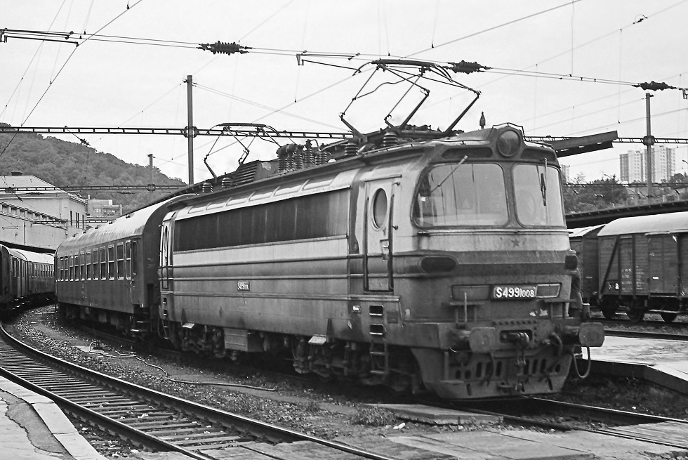 S499.1008