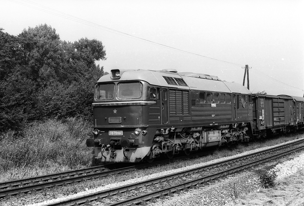T679.1184