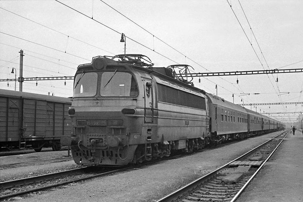 S499.1013