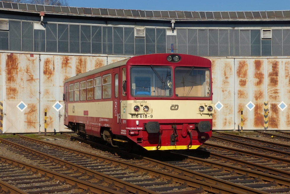 810 618-9
