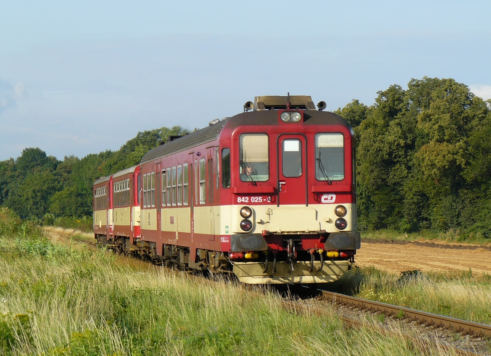 842 025-9