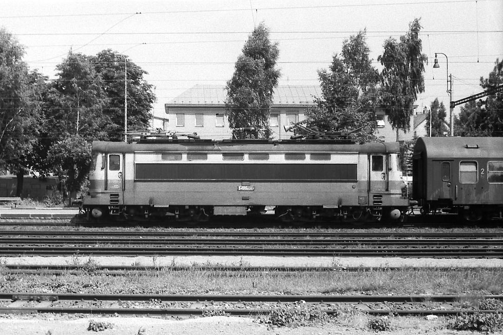 S499.0253