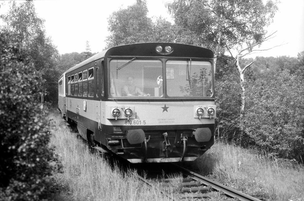 810 601-5
