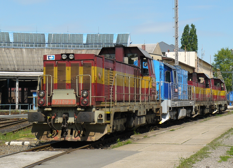 731 019-6