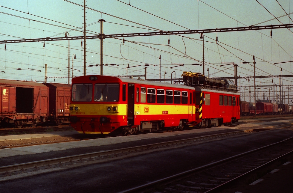 810 067-9