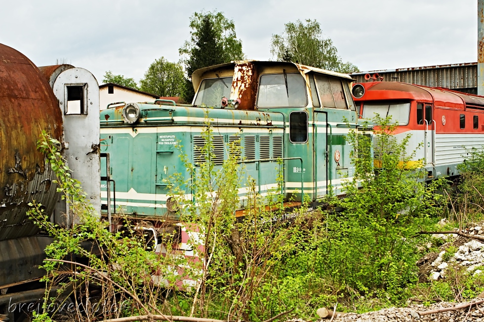 710 005-0