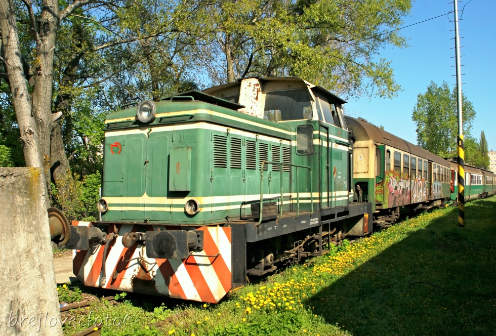 710 006-8