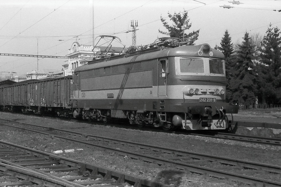 242 231-9