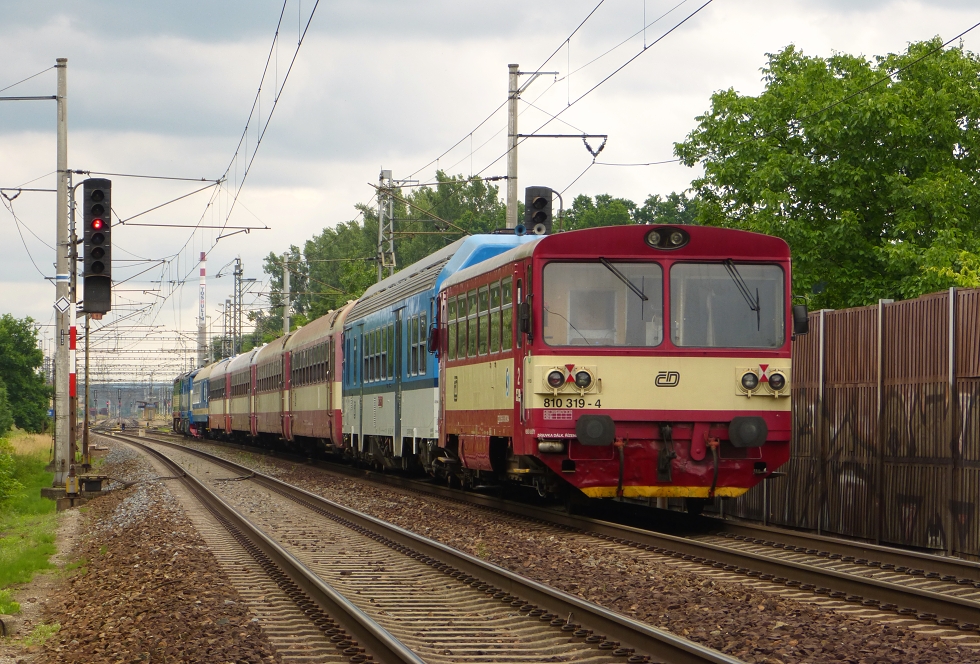 810 319-4