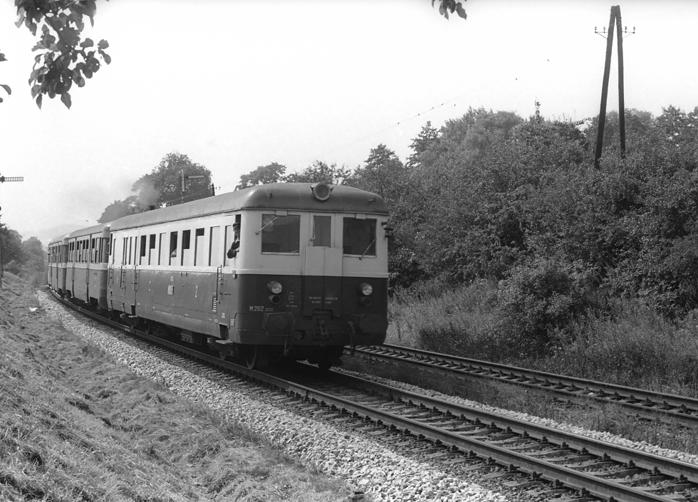 M262.0212