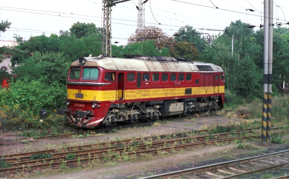 781 545-9