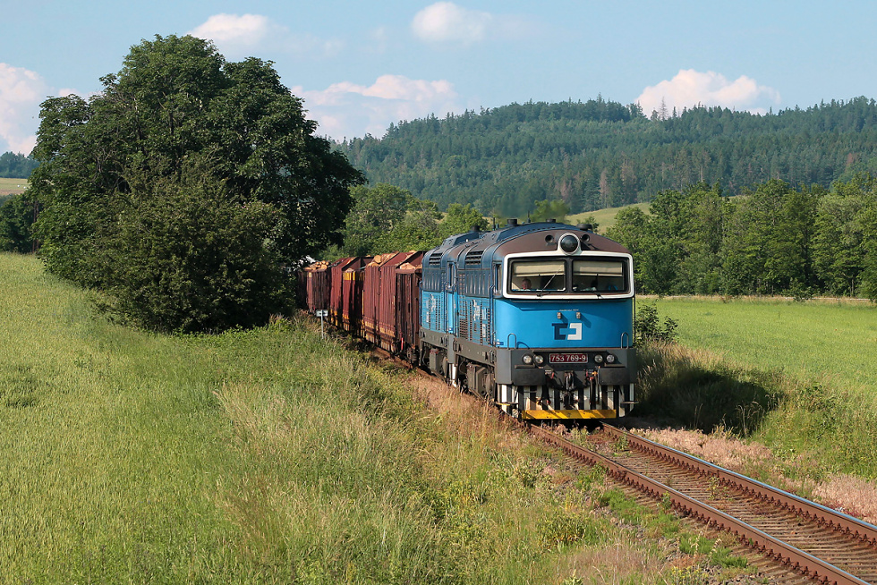 753 769-9