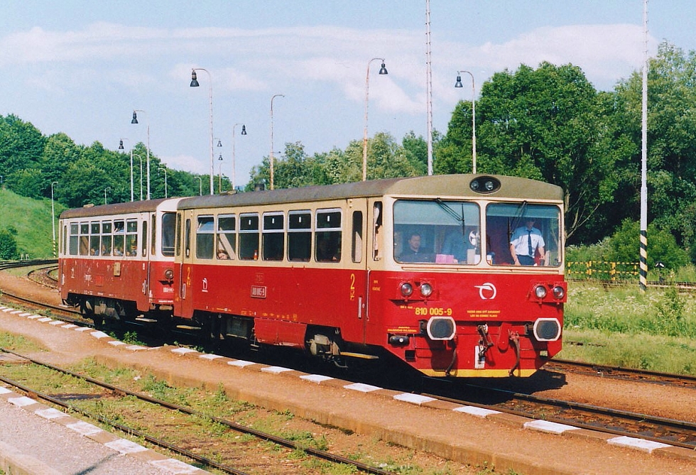 810 005-9
