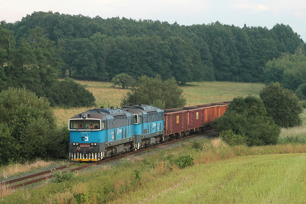 753 774-9