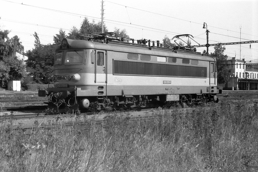 242 256-6