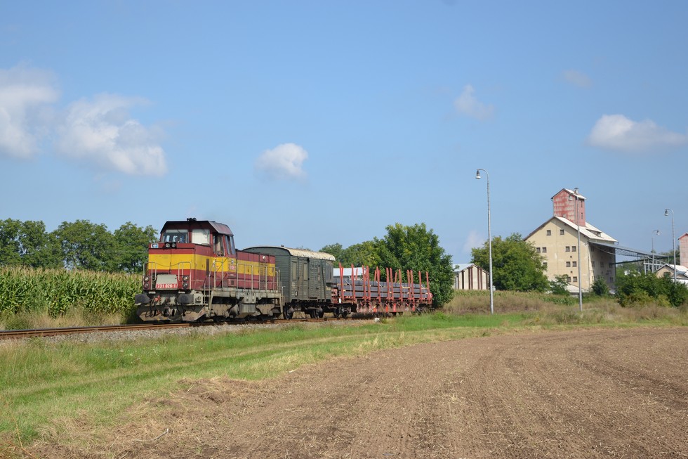 731 026-1