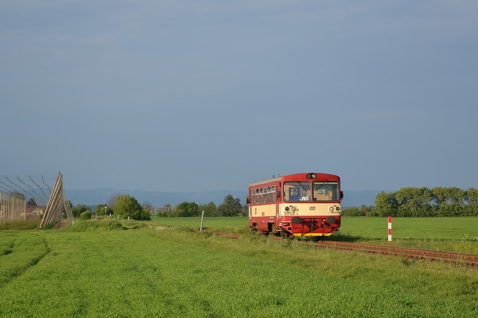810 546-2