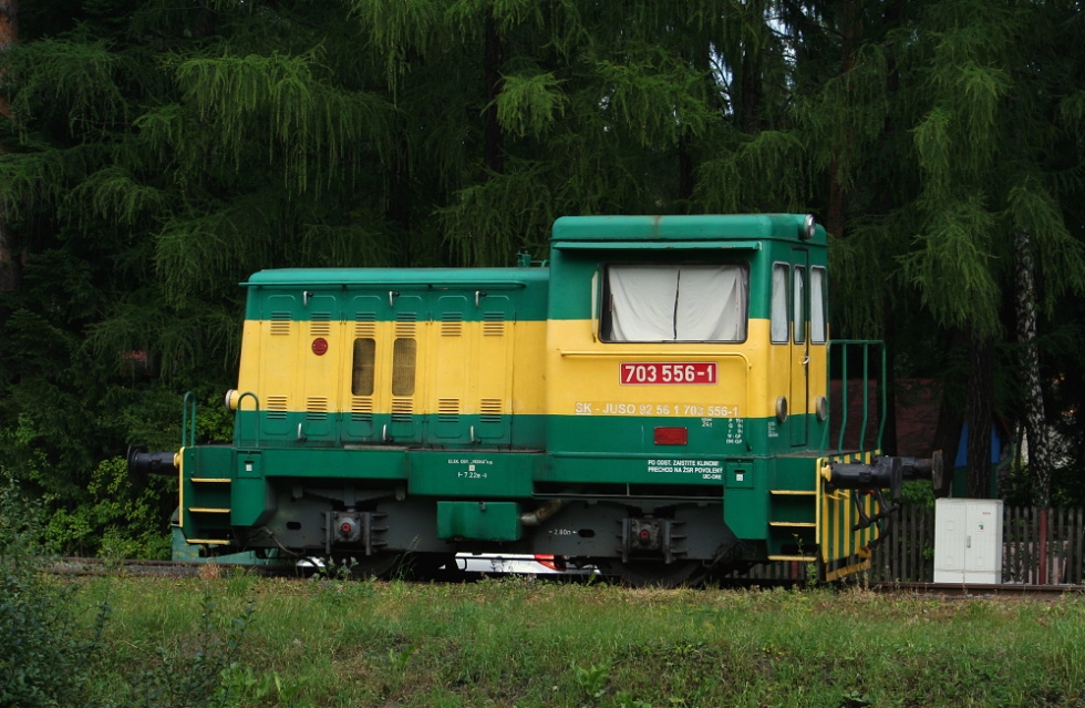 703 556-1