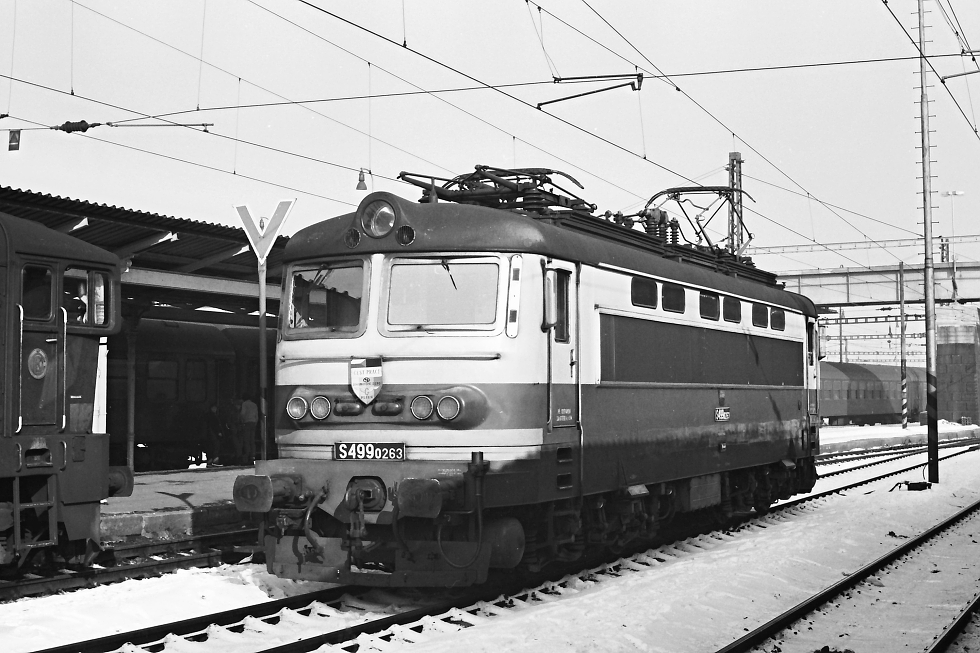 S499.0263