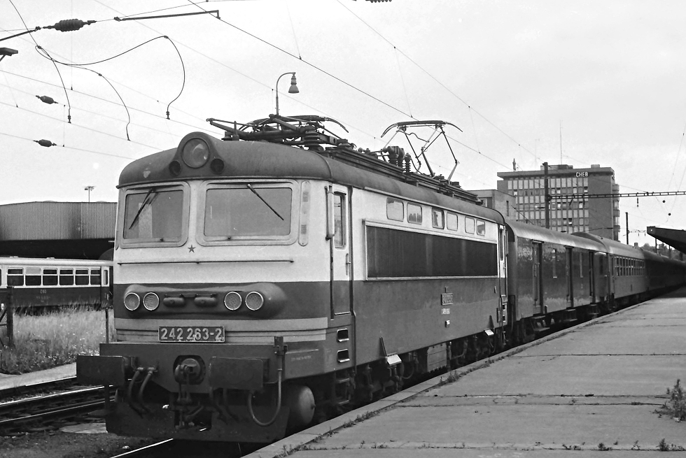 242 263-2