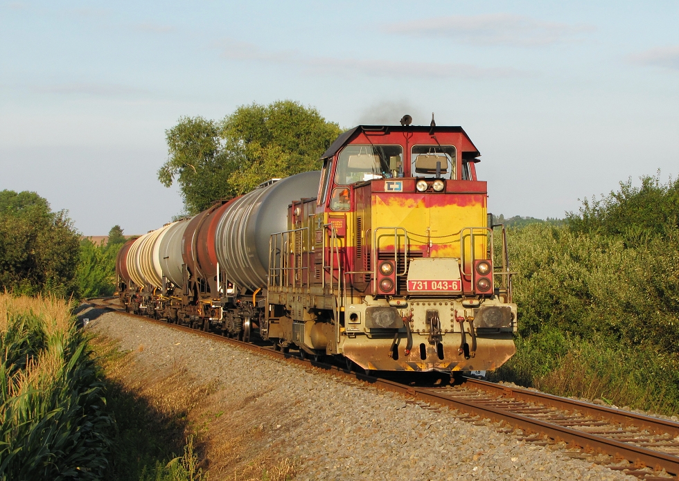 731 043-6