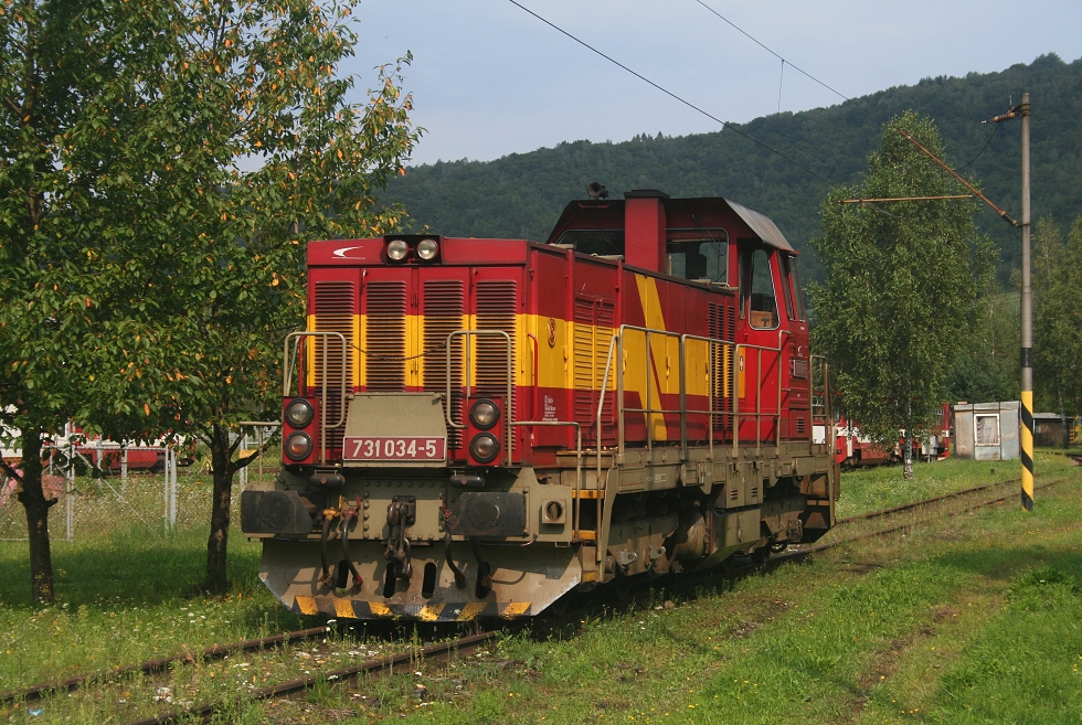 731 034-5