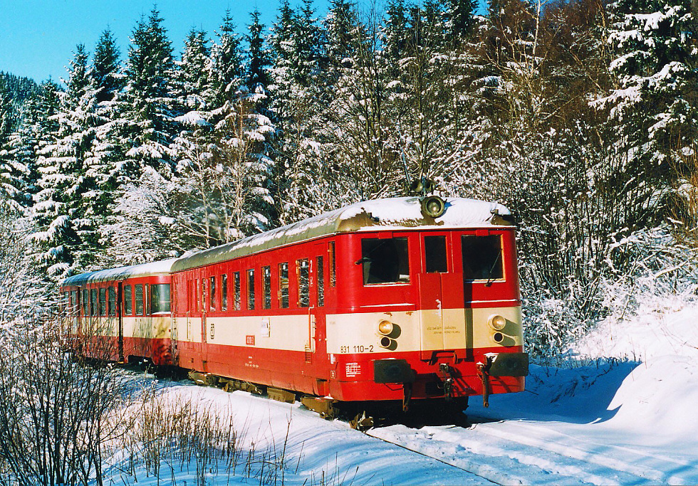 831 110-2