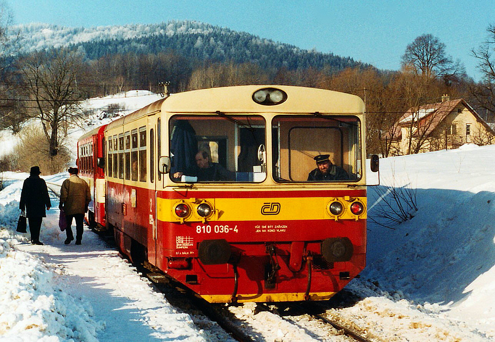 810 036-4