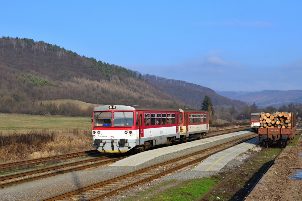 810 404-4